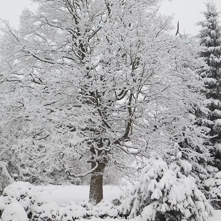 Chata U Lesa Výprachtice Buitenkant foto